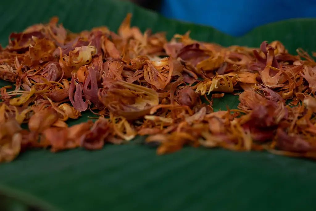 Mace Whole - Nivartana - 