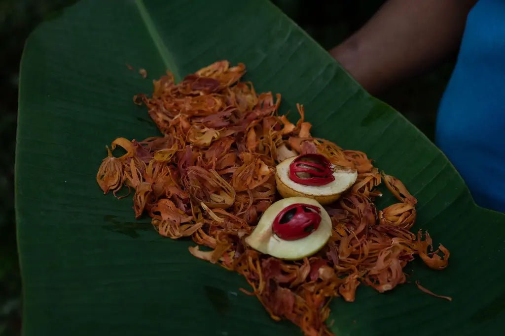 Mace Whole - Nivartana - 