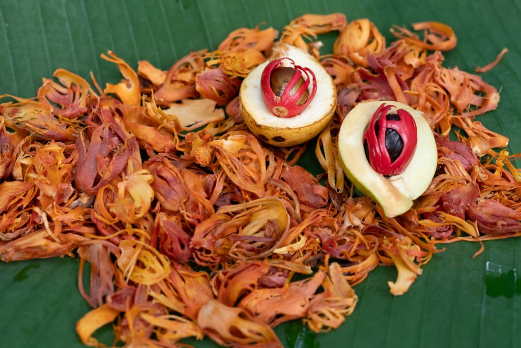 Nutmeg Whole ( With Shell) - Nivartana - 