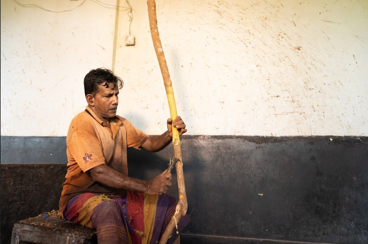 Ceylon Cinnamon Sticks - Nivartana - Spices