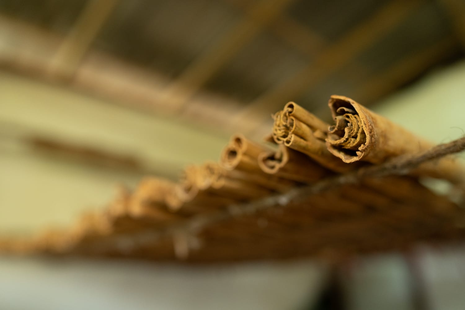 Ceylon Cinnamon Sticks - Nivartana - Spices