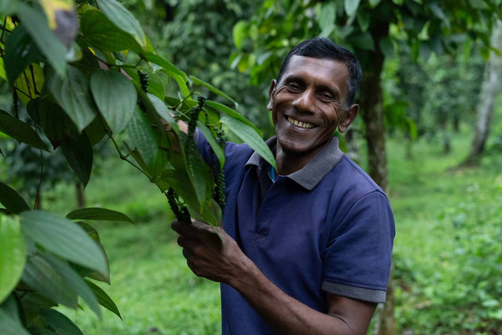 Ceylon Black Pepper Whole - Nivartana - 