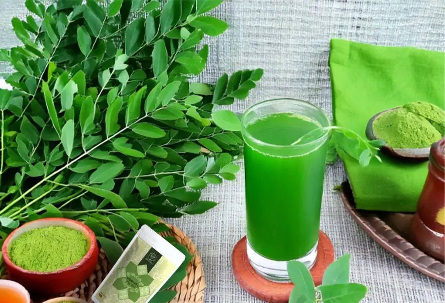 Moringa Powder - Nivartana - Kräuter